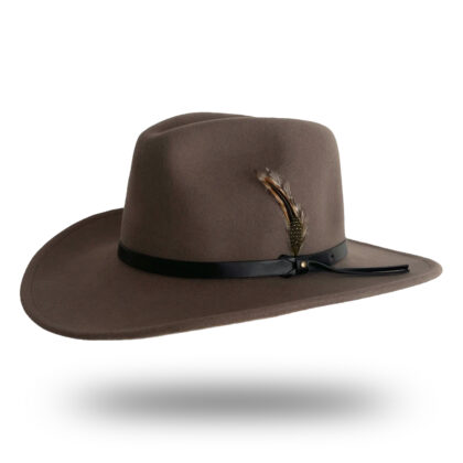 Wool Felt Fedora Hat With Feather - Brown